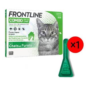 FRONTLINE Combo Chat maroc