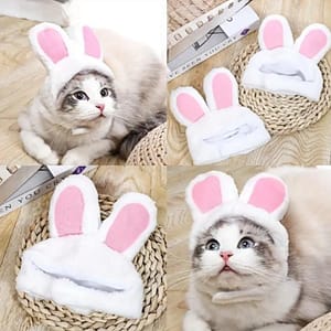 Chapeau avec oreilles de lapin pour animaux