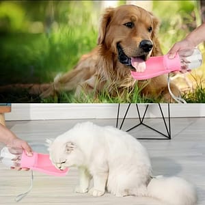 bouteille d’eau chiens et chats.