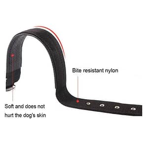Collier en Nylon Réglable pour Chien - Haute Qualité et Nouvelle Mode