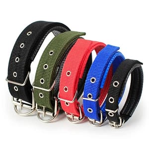 Collier en Nylon Réglable pour Chien - Haute Qualité et Nouvelle Mode