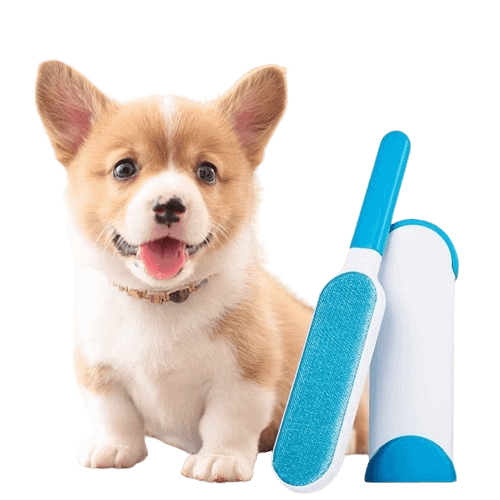 Produits de nettoyage pour la maison